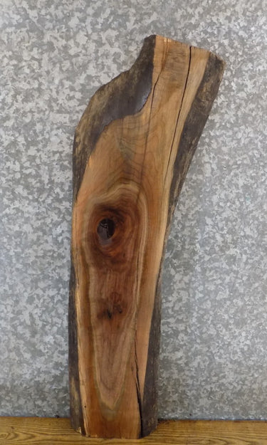 Salvaged Live Edge Black Walnut Accent/Entry Table Top Slab 1758